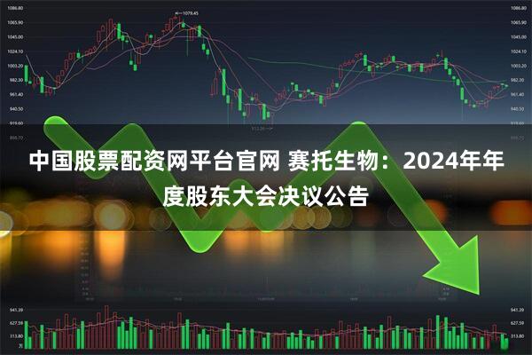 中国股票配资网平台官网 赛托生物：2024年年度股东大会决议公告