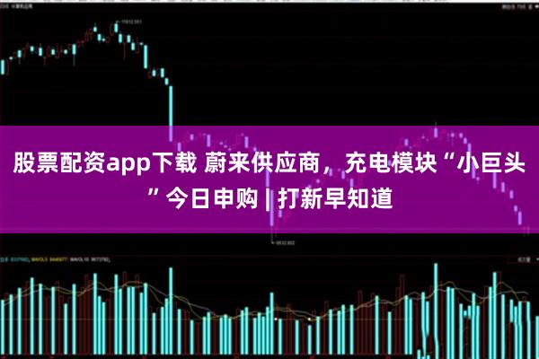 股票配资app下载 蔚来供应商，充电模块“小巨头”今日申购 | 打新早知道